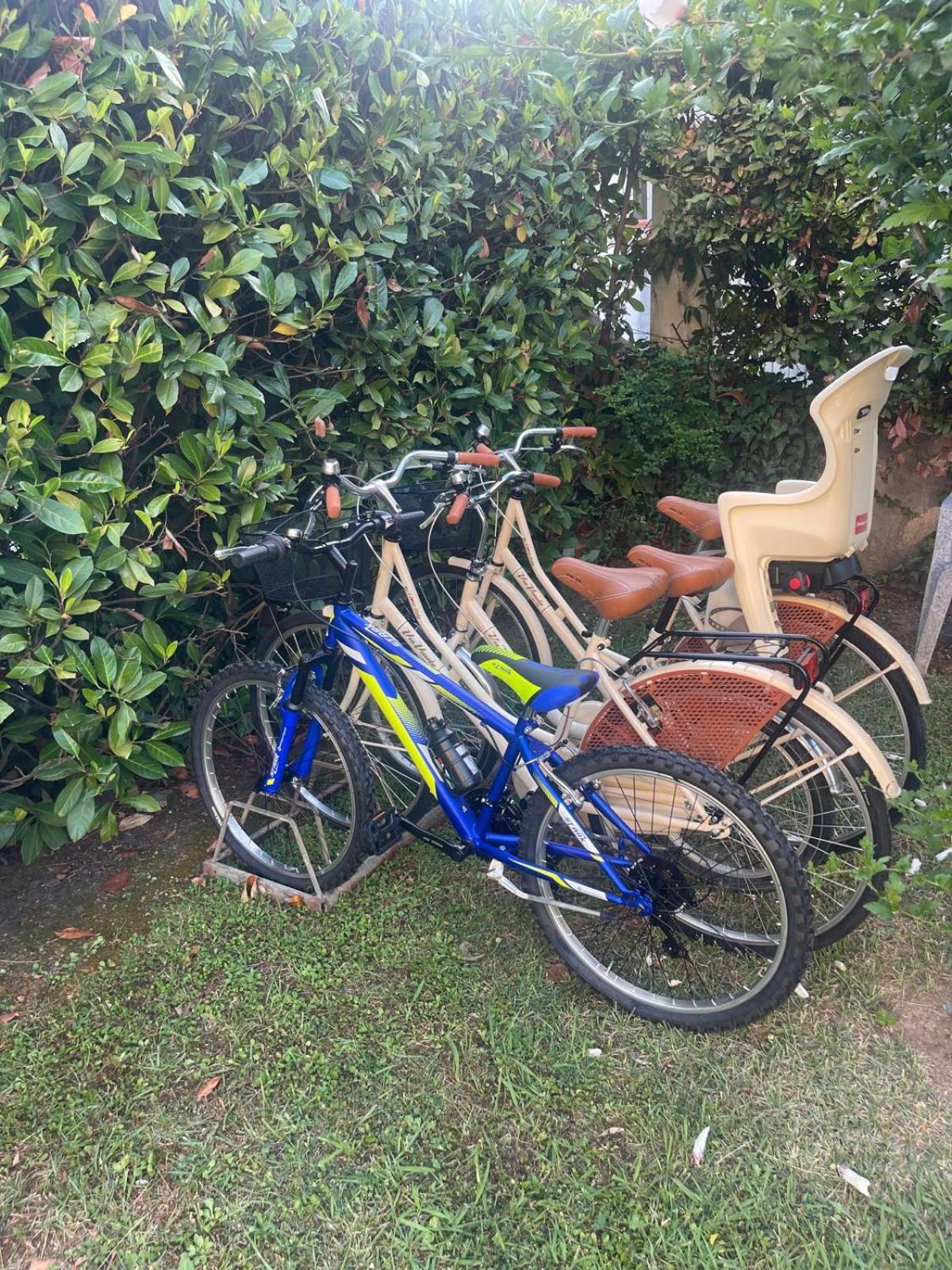 Appartamento La Passione Al Mare Marina di Massa Esterno foto